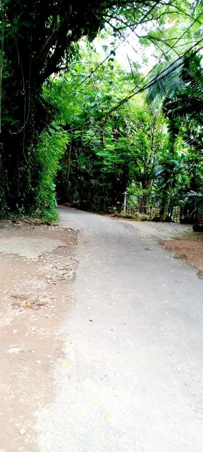 Green Villa ฮิกคาดูวา ภายนอก รูปภาพ